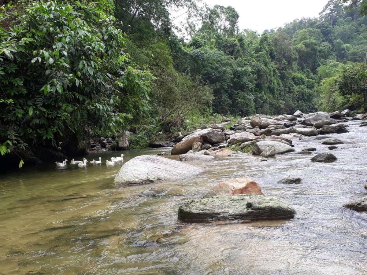 Ha Giang Faithien Homestay Extérieur photo